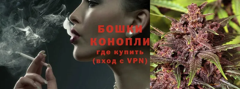 Бошки марихуана SATIVA & INDICA  Красноперекопск 